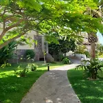Vista Asomada